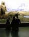 b.meet the bears